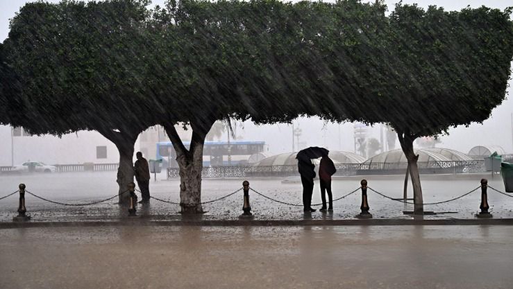 أمطار رعدية على هذه الولايات
