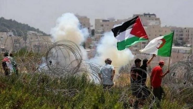 الجزائر مع فلسطين ظالمة أو مظلومة