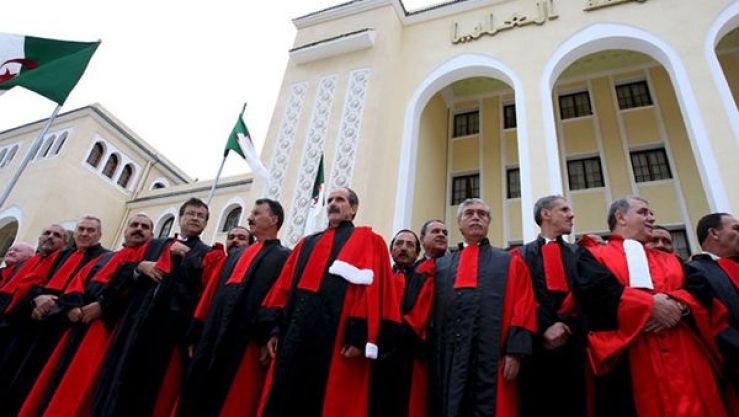 القضاة