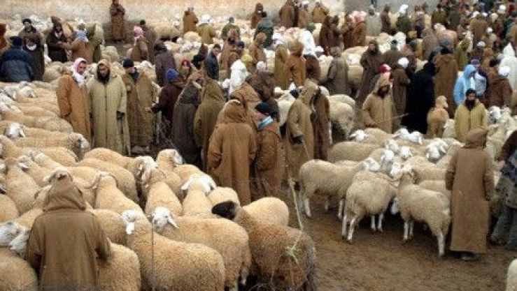 تعبيرية