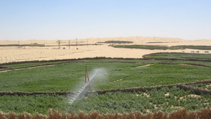 تعبيرية