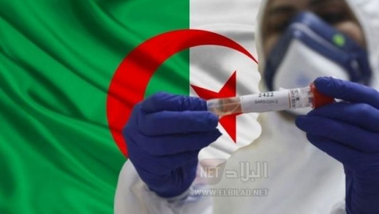 كورونا في الجزائر