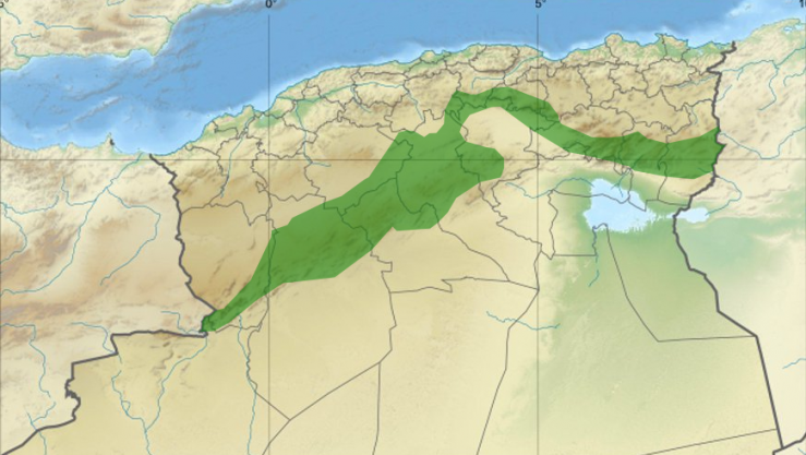 السد الأخضر