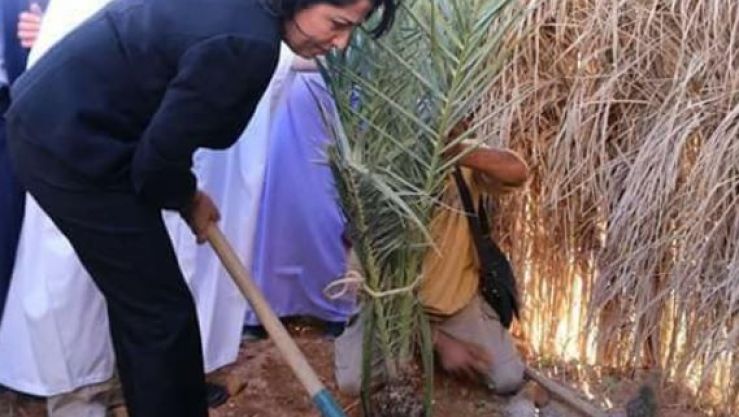 فاطمة الزهراء زرواطي