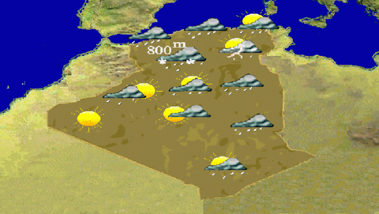 نشرية خاصة
