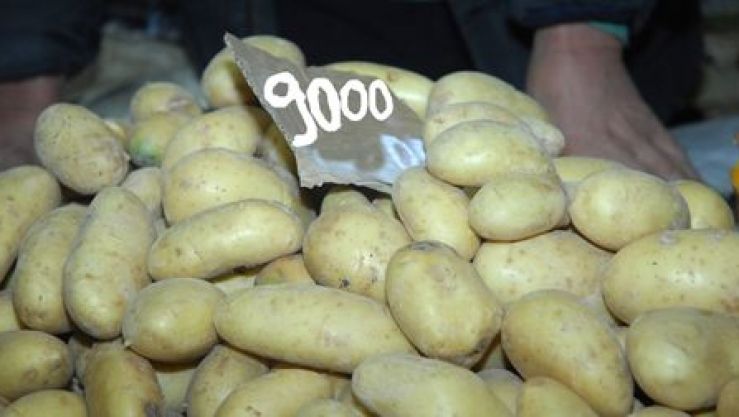 ارتفاع أسعار الخضر