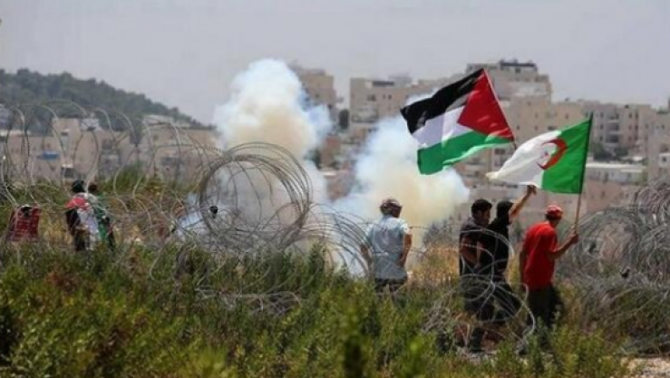 العلم الجزائري يرافق نضال الفلسطينيين
