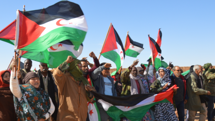 اللجنة العربية للتضامن مع الشعب الصحراوي تدعو مجلس الأمن لإنهاء الاحتلال المغربي