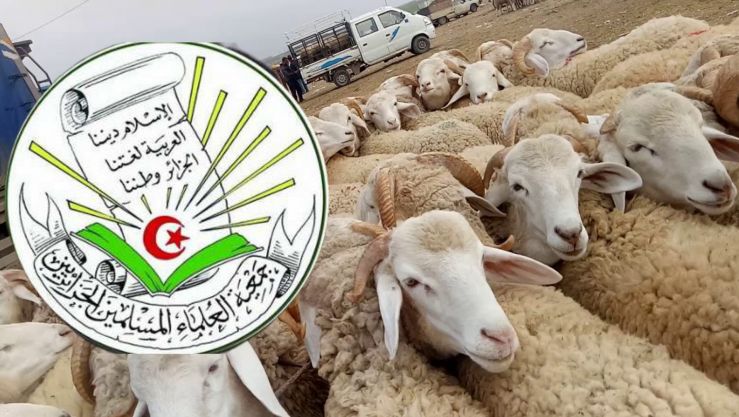 تعبيرية