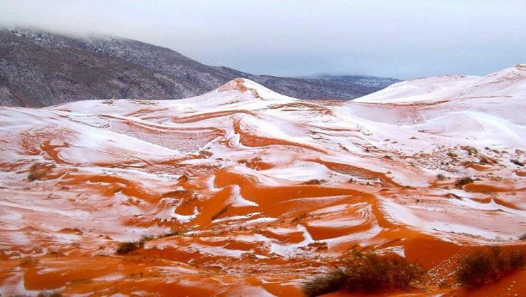 تساقط الثلوج بالصحراء الجزائرية