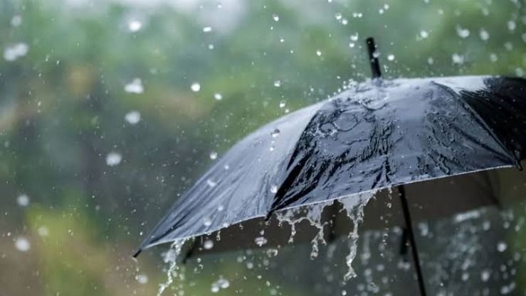 أمطار رعدية غزيرة على هذه الولايات