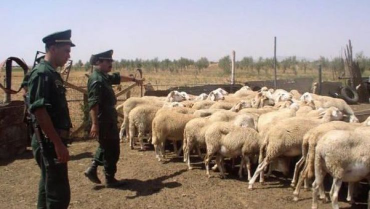 تعبيرية