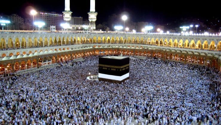 صورة الخبر