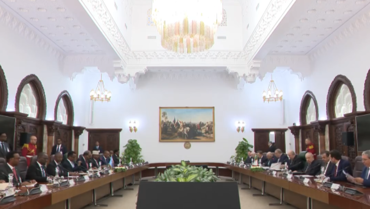 Presidents Tebboune and Mohamud during official talks