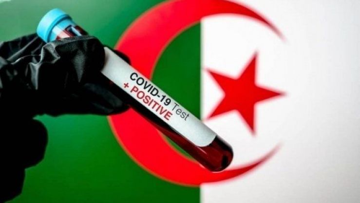 كورونا، الجزائر