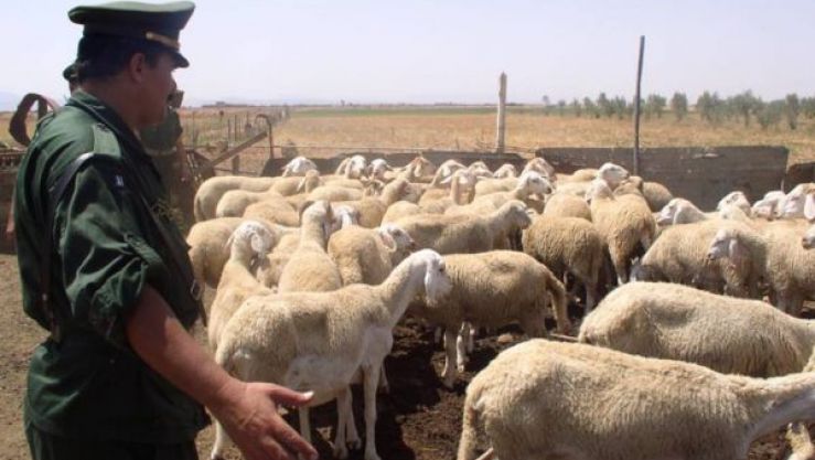 تعبيرية