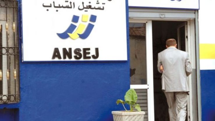 إجراءات جديدة لدعم تشغيل الشباب
