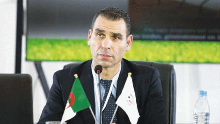 الفاف