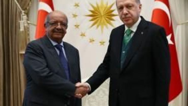 أردوغان ومساهل