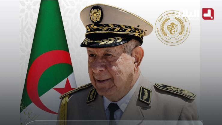 صورة الخبر