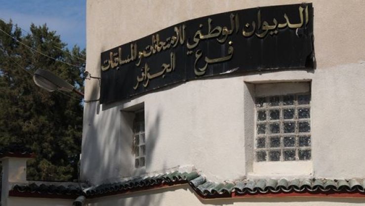 الديوان الوطني للامتحانات والمسابقات