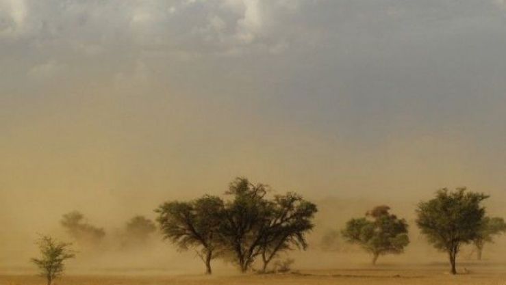 تعبيرية