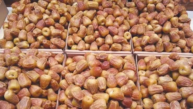 تمور سعودية