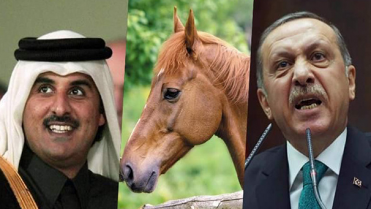 أمير قطر يطلق اسم "أردوغان" على حصانه