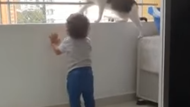 لقطة من الفيديو