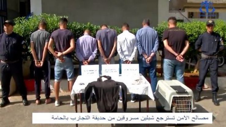 أعضاء العصابة المتهمين بسرقة الشبلين
