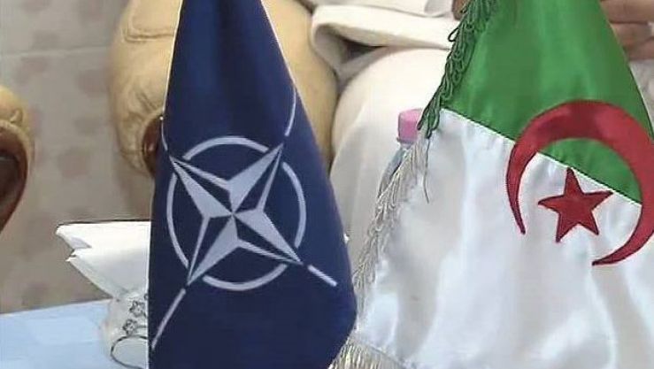 الجزائر وحلف الناتو