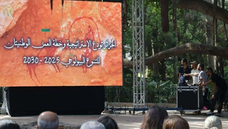 صورة الخبر