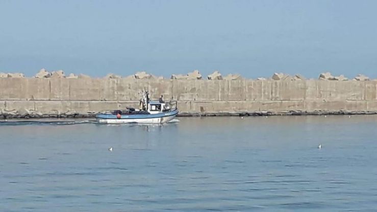 مصدر الصورة : مديرية الصيد البحري