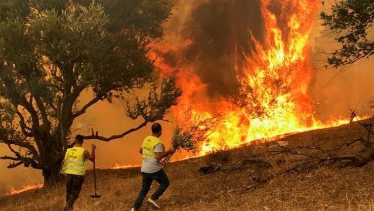 إيداع شخص ووضع اثنين تحت الرقابة القضائية في قضية إضرام الحرائق بعين الدفلى