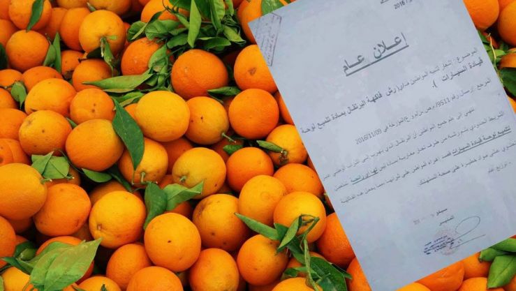 برتقال مغربي يسبب السرطان..