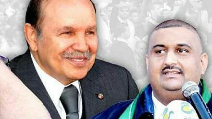 بهاء الدين طليبة
