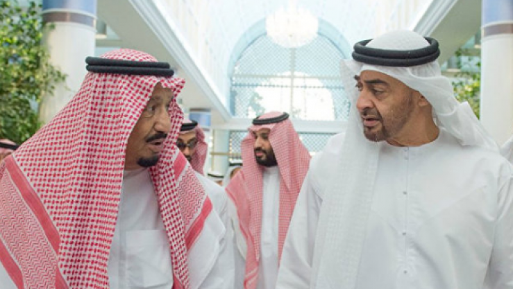 ملك السعودية و رئيس الإمارات