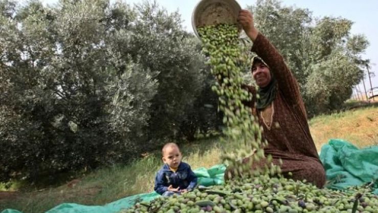 تعبيرية