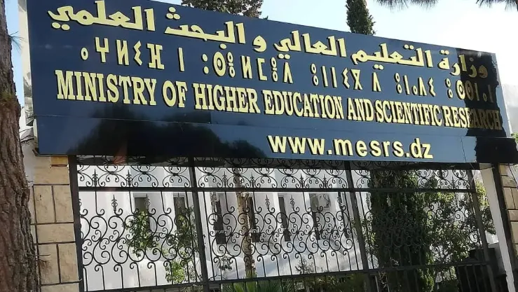 صورة الخبر