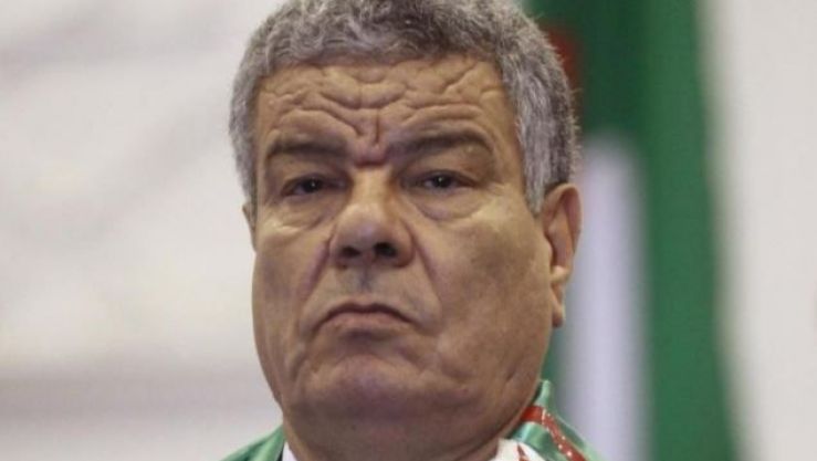 عمار سعداني