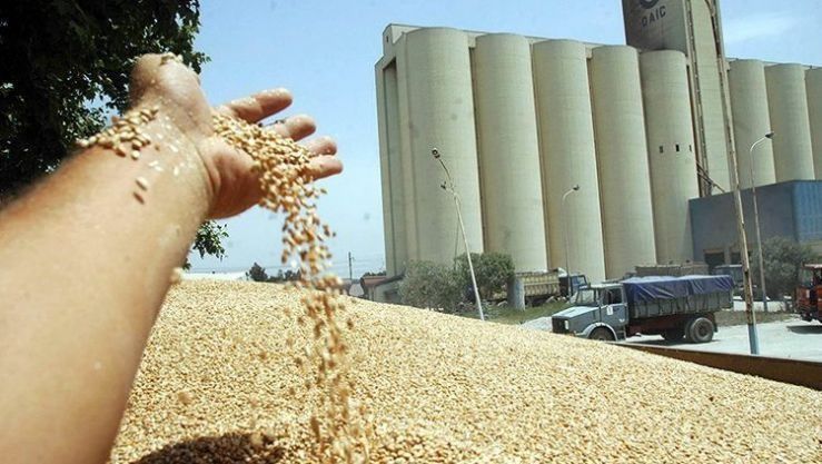استحداث منصة رقمية خاصة بالموالين لتسهيل تعاملهم مع المطاحن بولاية الوادي