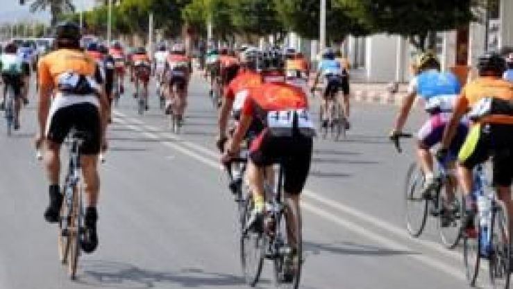 الجزائر