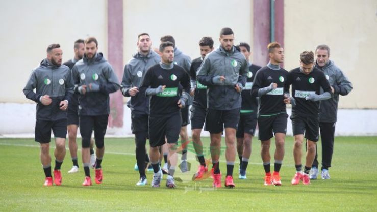المنتخب المحلي