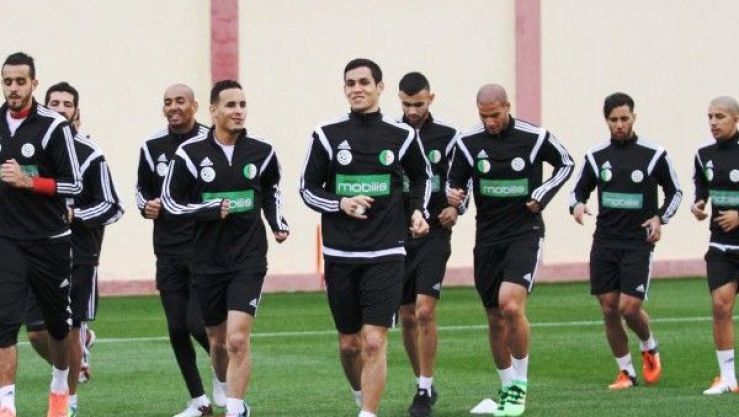 ماندي