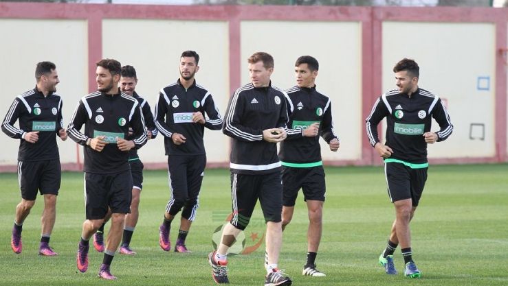 المنتخب الوطني