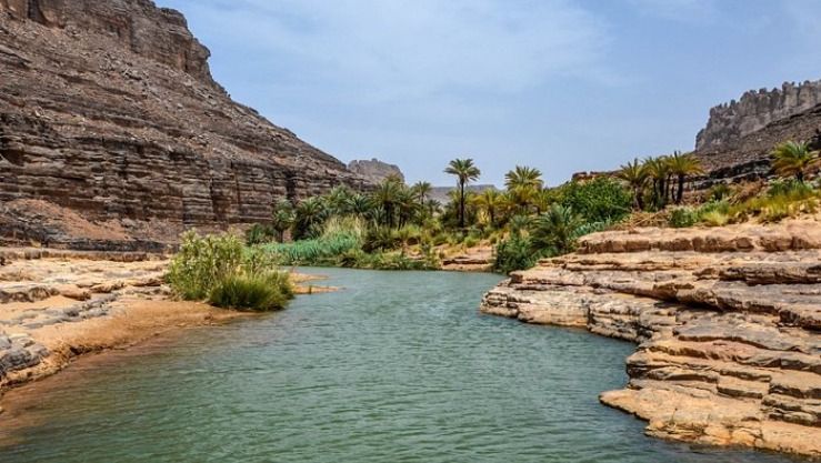 جانت: 1.222 سائحا أجنبيا يمثلون 26 جنسية - الأخيرة : البلاد