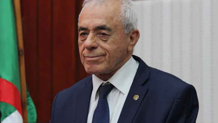 سعيد بوحجة