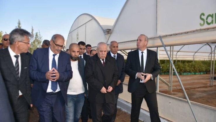 وزير الفلاحة: توسيع قائمة المنتجات المدعمة لتوفيرها بأسعار معقولة