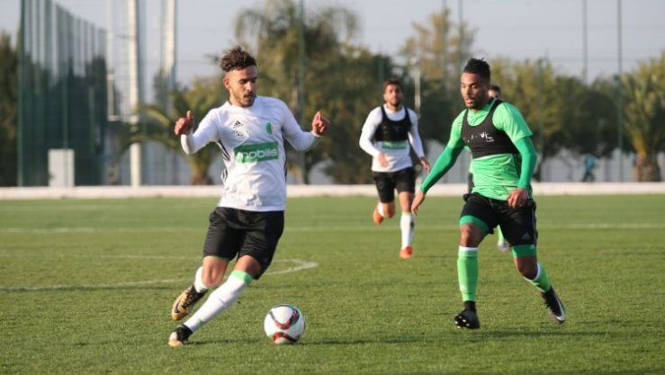 المنتخب الجزائري