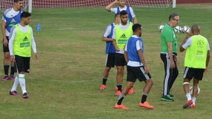 الفريق الوطني